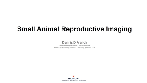 Thumbnail for Small animal reproductive imaging - March 19th 2020, 12:33:27 pm