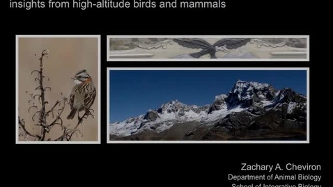 Thumbnail for NRES 2012 Fall Seminar Series - Zachary A. Cheviron