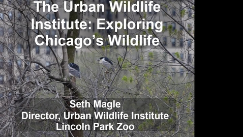 Thumbnail for NRES 2014 Fall Seminar Series 141114 - Seth Magle.mp4